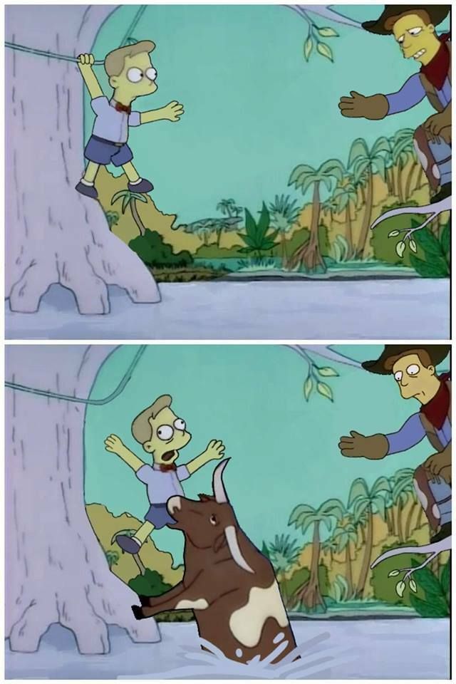 Told you, Timmy