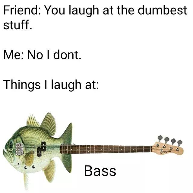 Your ass is bass and I'm a bassman