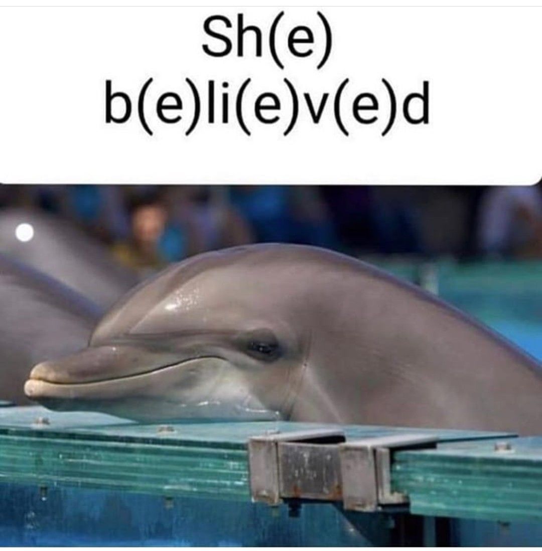 Dolphins be like *dolphin noises*