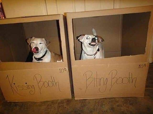 i'Ve gOt TwO moOds