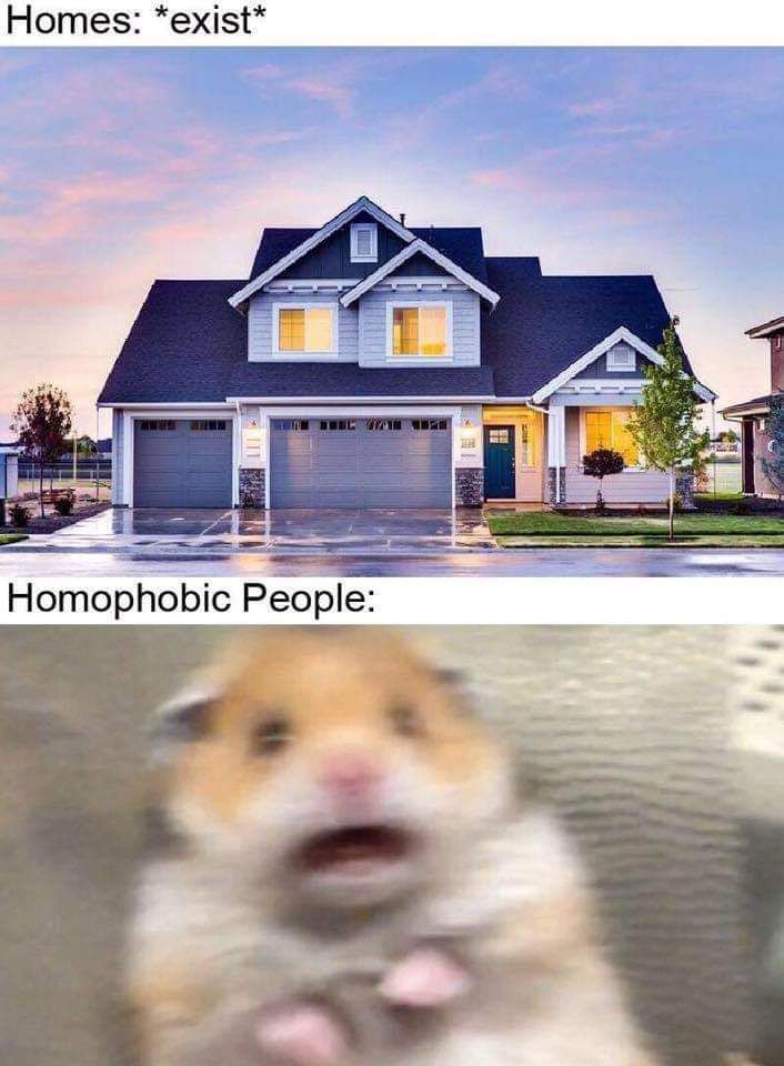 Homophobia is bad