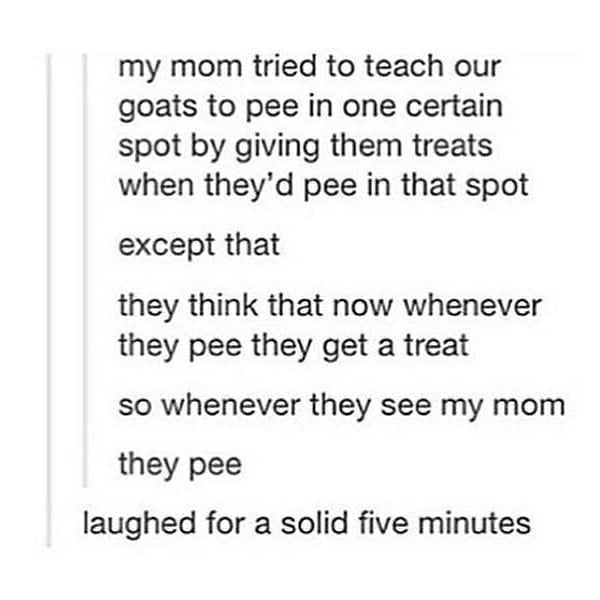 behaviourism gone wrong