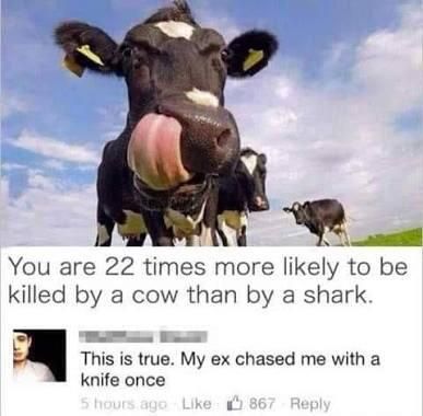 Madcow