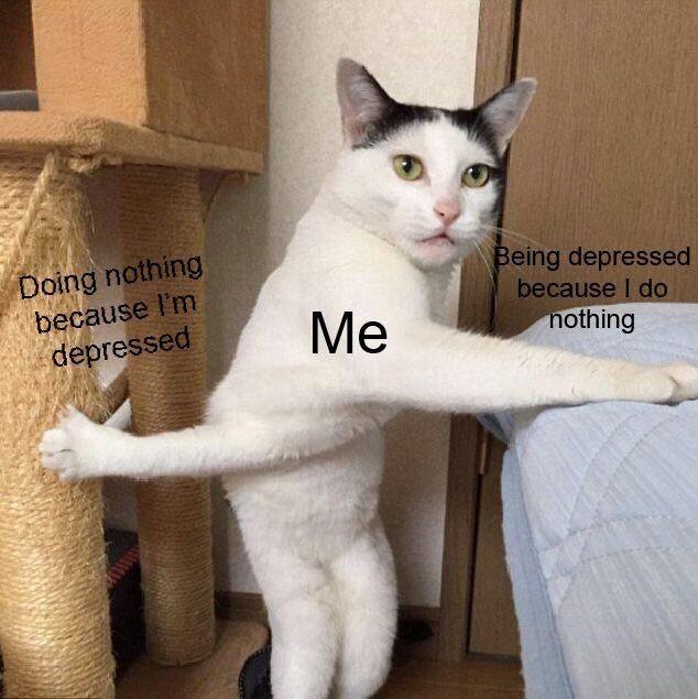 yes
