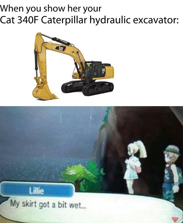 facts