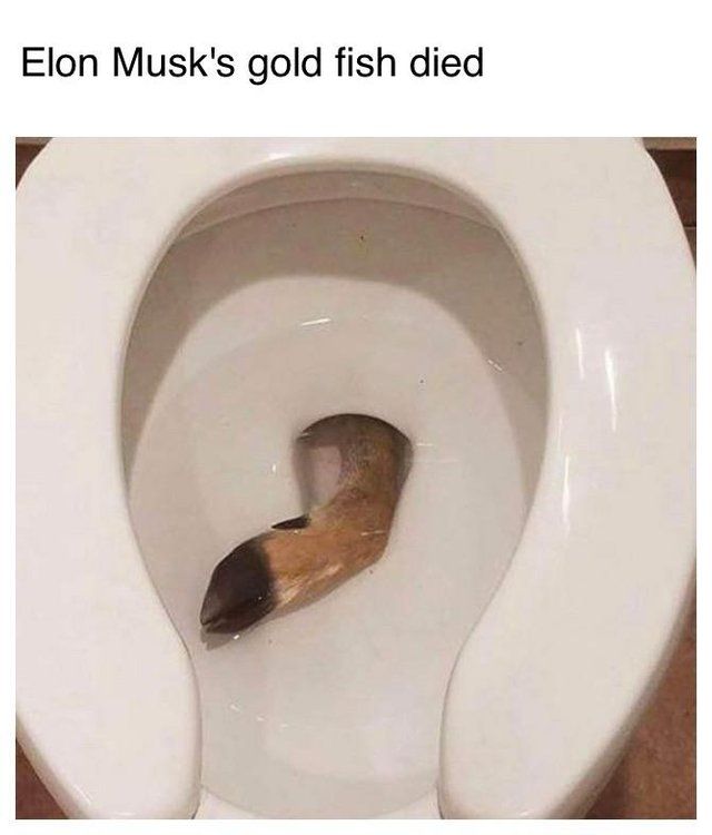 can I get an F