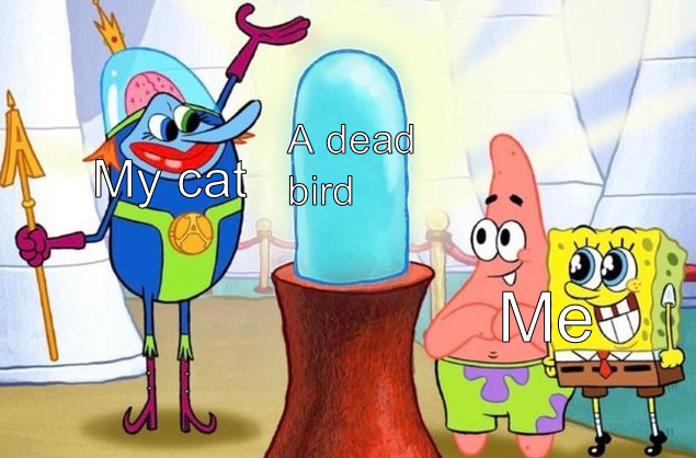 thank you very cool