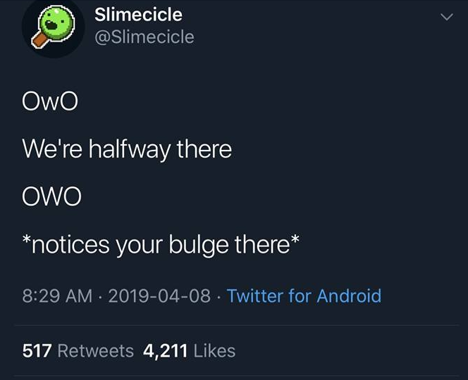 Bon JoWo