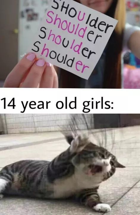 Shieeet