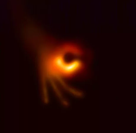 The picture of the black hole is amazi- aw shit