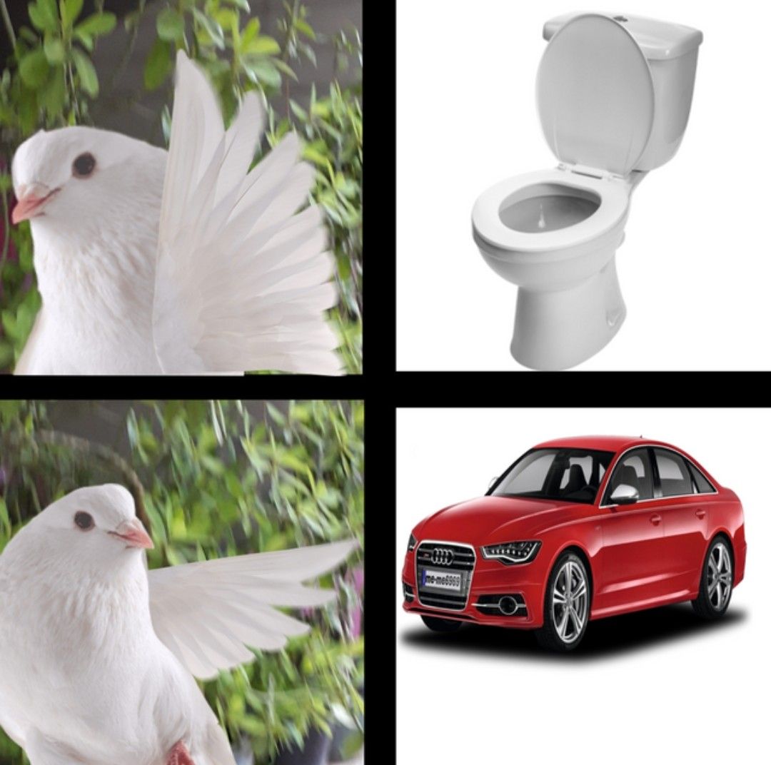 B i r d s h i t