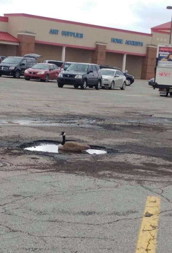 Minnesota potholes