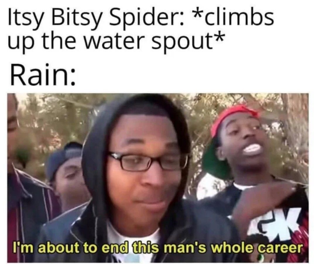 Spider meme
