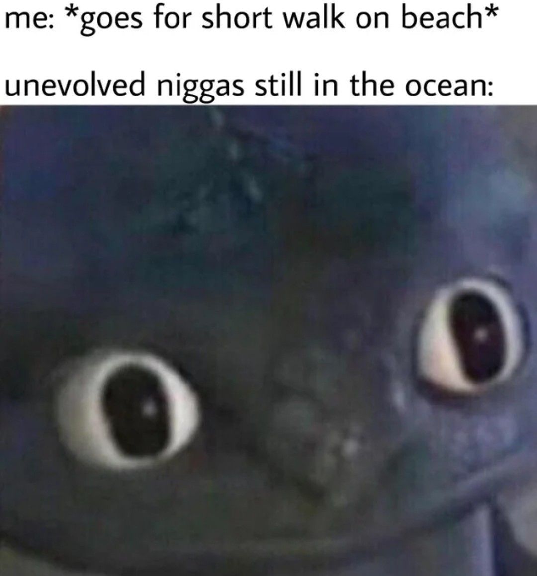 Flex on them sea niBBas