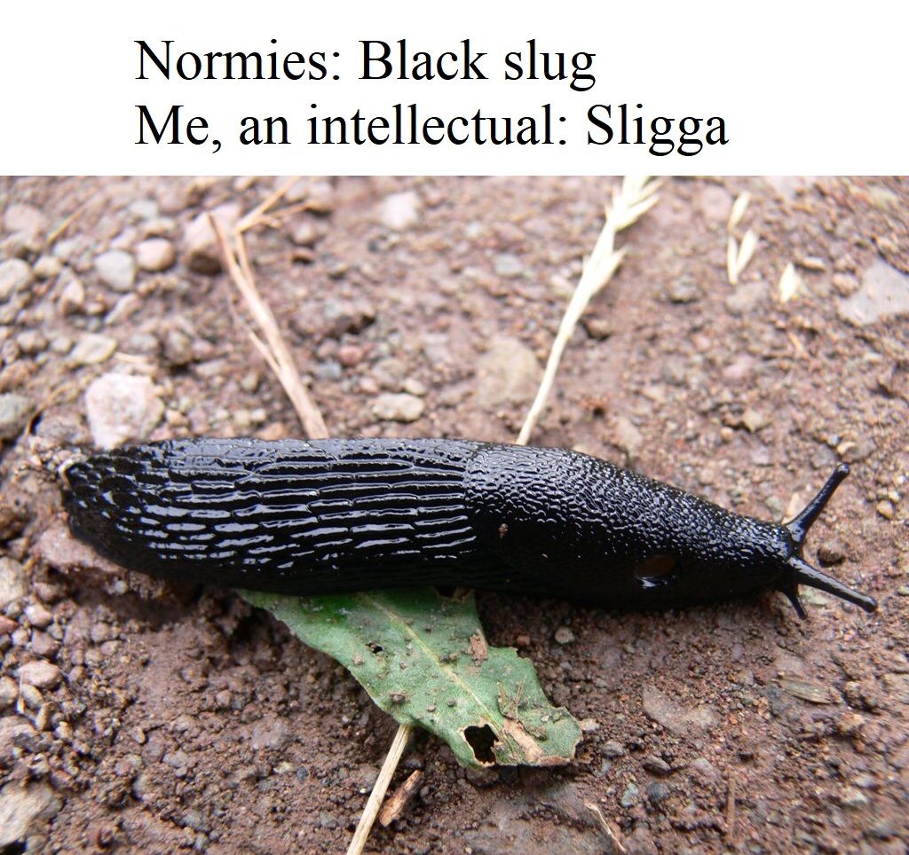 No shigga