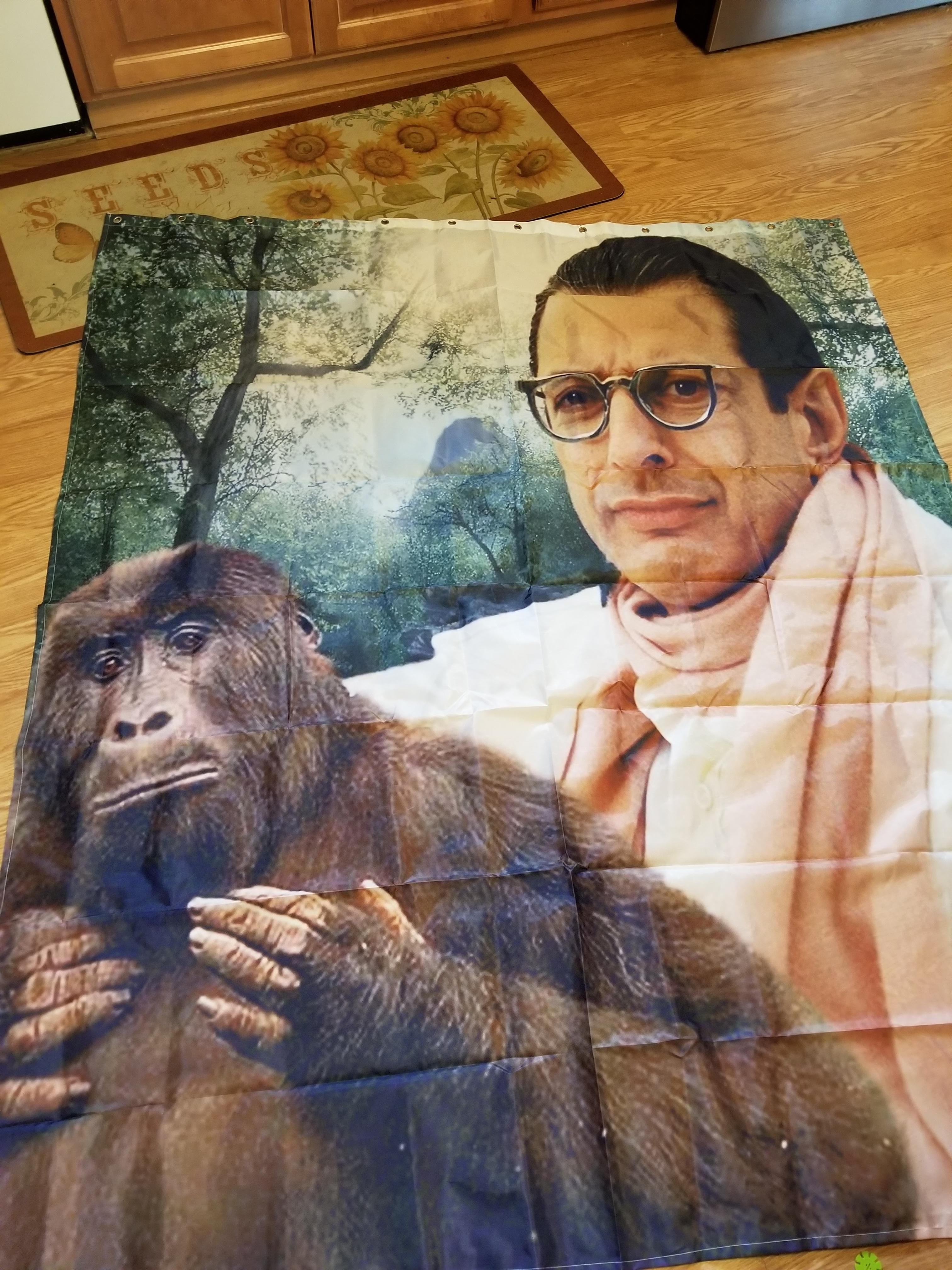 This shower curtain arrived in the mail today. As it was opened, my wife about died. Effective immediately, my wife's house decorating privileges have been revoked.