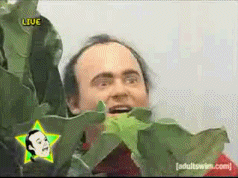My New Favorite Gif EVER