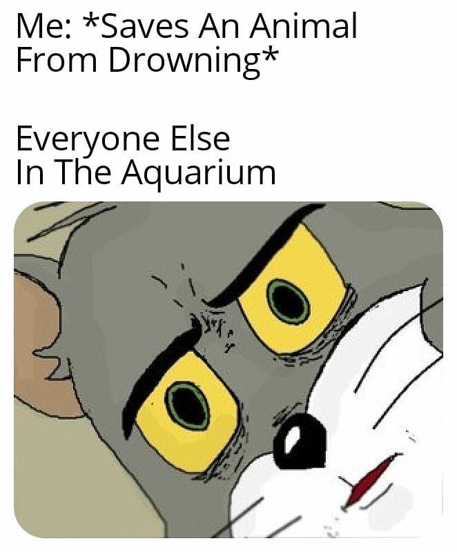 hmm