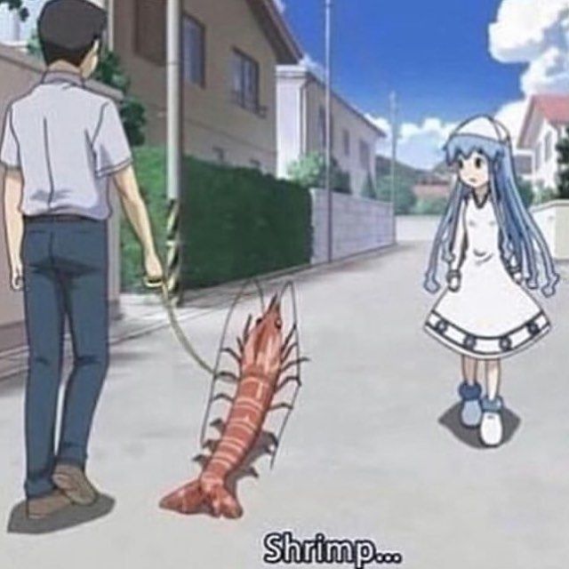 shrimp