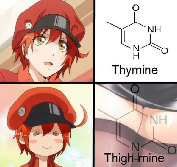yes