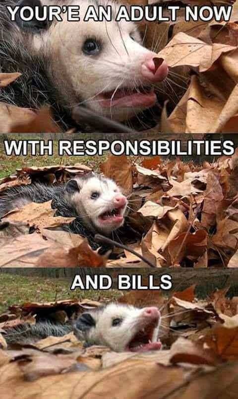 that's why i still a child or im retardet