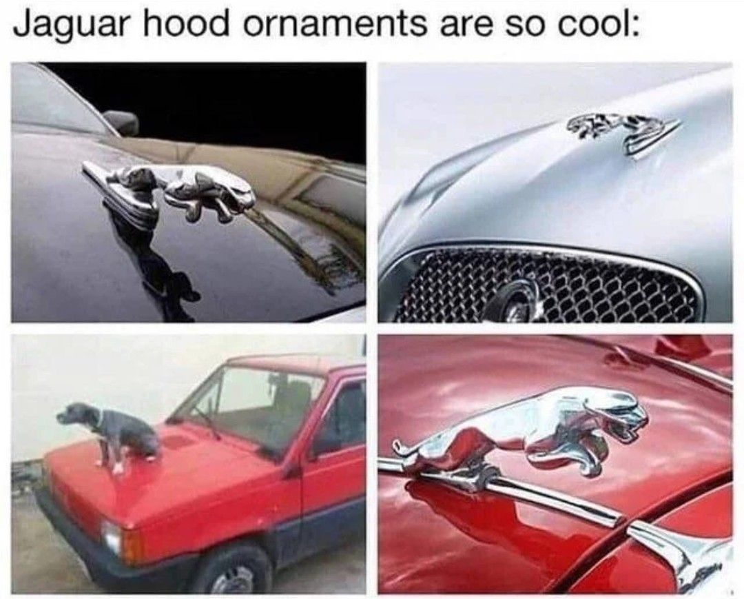 Jaguar hood ornaments