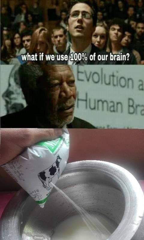 Moo