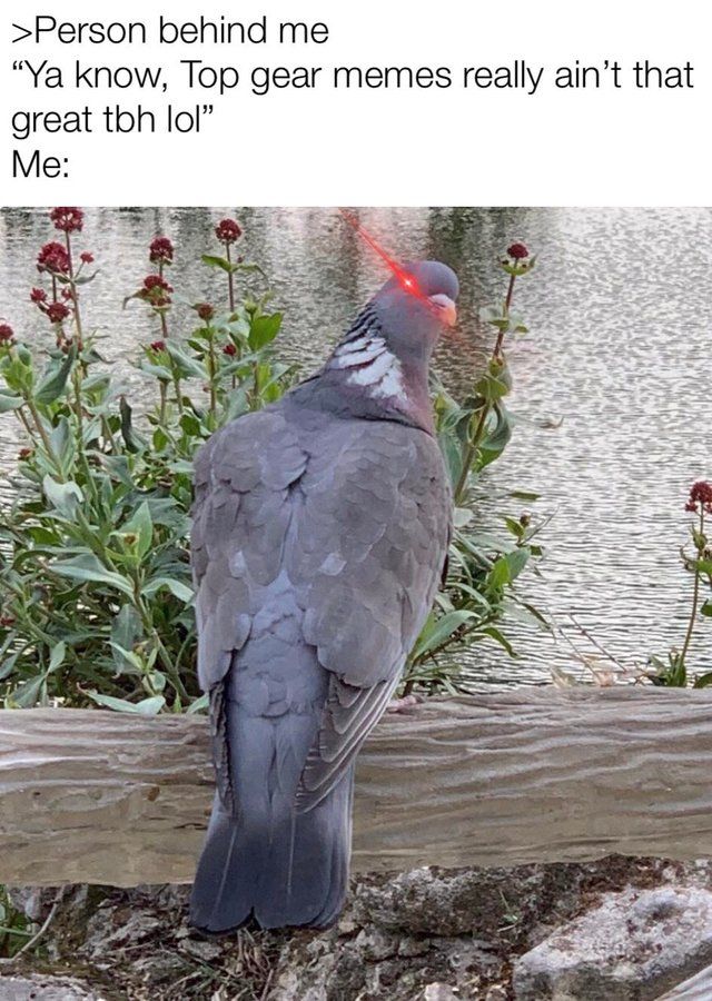 nani