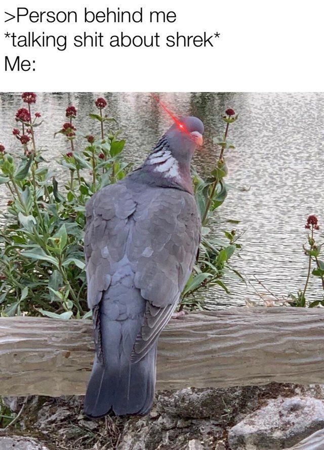 new template
