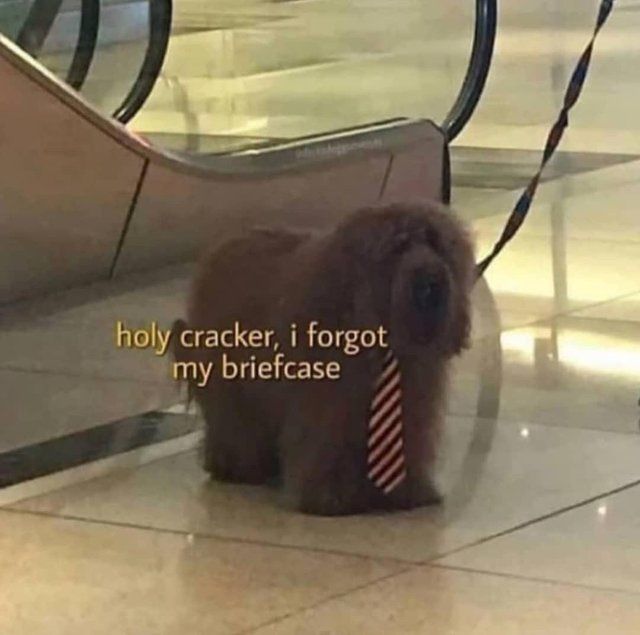 not again