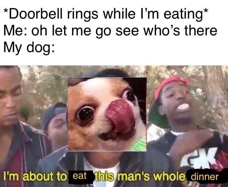 fast Boy