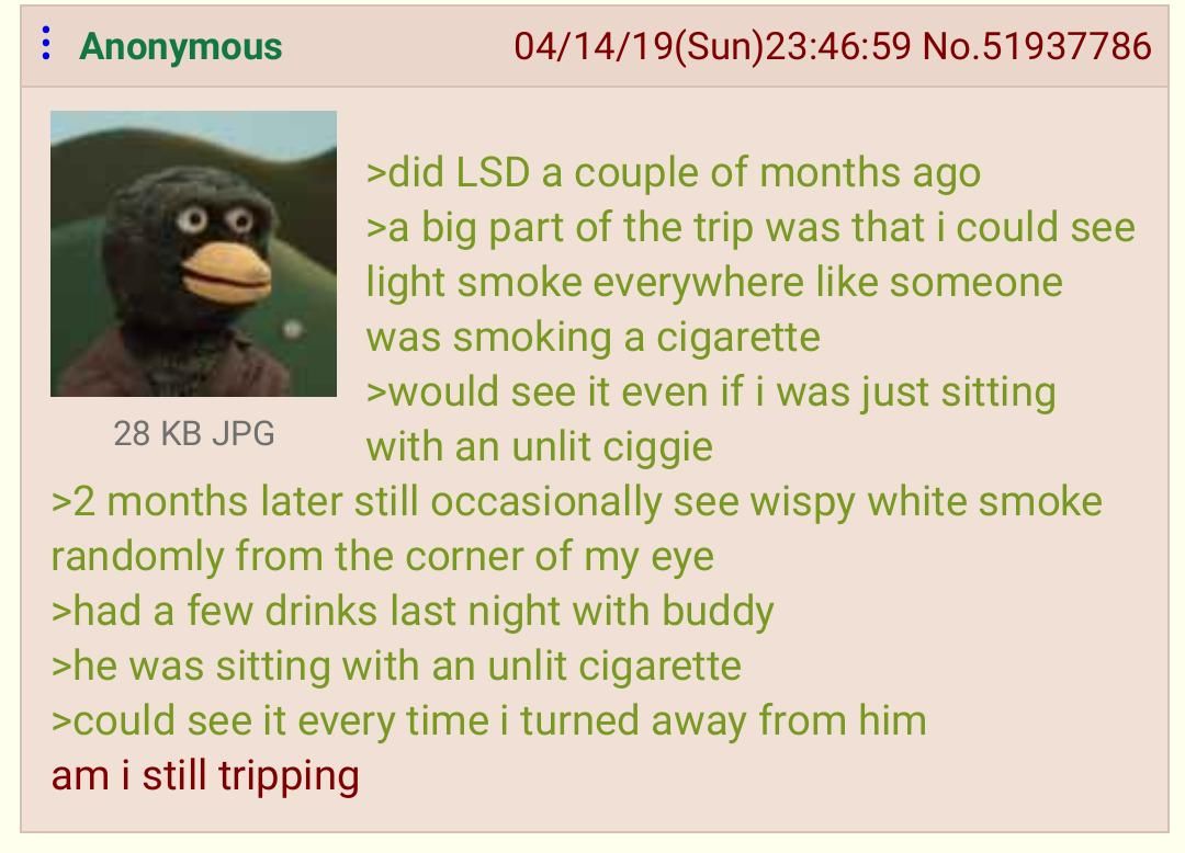 Anon is tripping