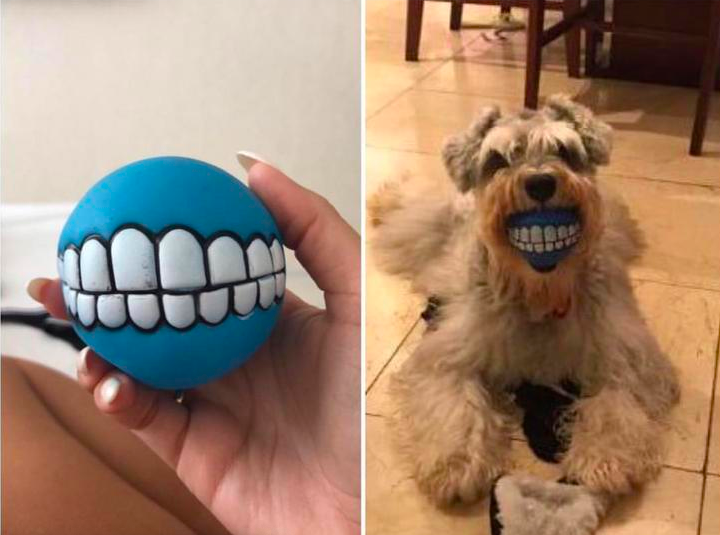 Getting a teeth ball for your dog