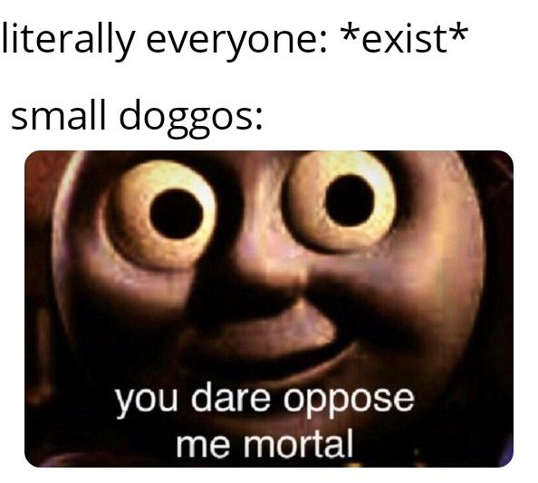 barks tinily