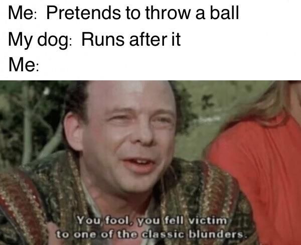 Dog
