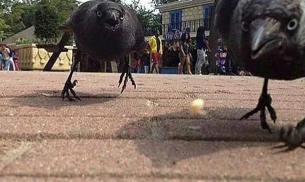 The last thing a breadcrumb sees