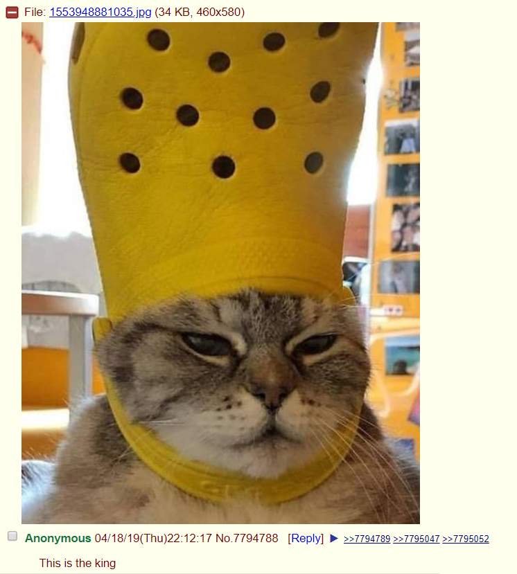 Anon posts Duddy?
