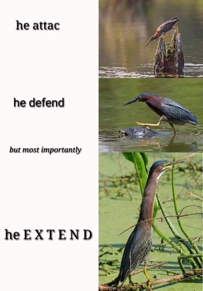 longboi