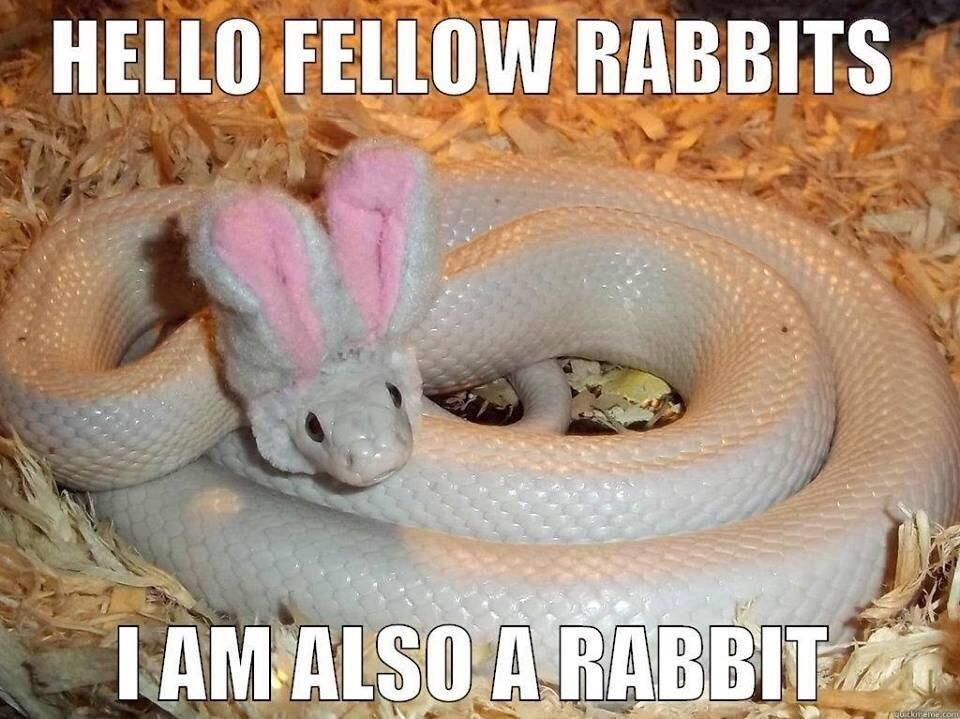 Easter is here my friends!