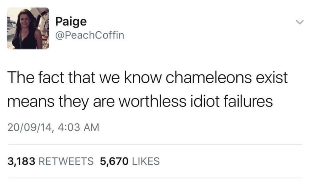 *** chameleons