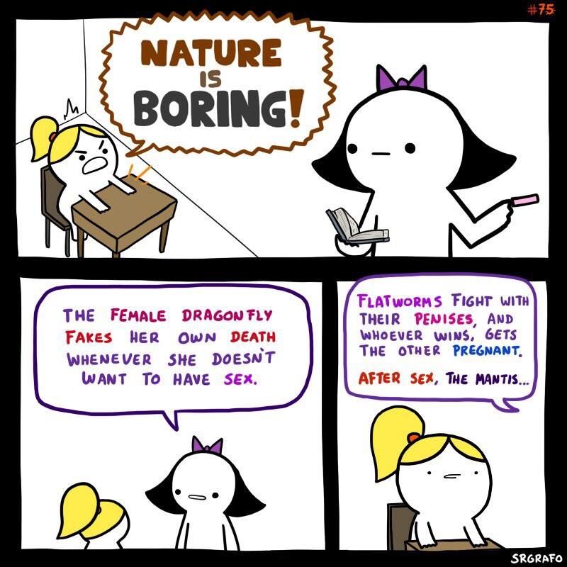 Nature is awesome credit: Srgrafo