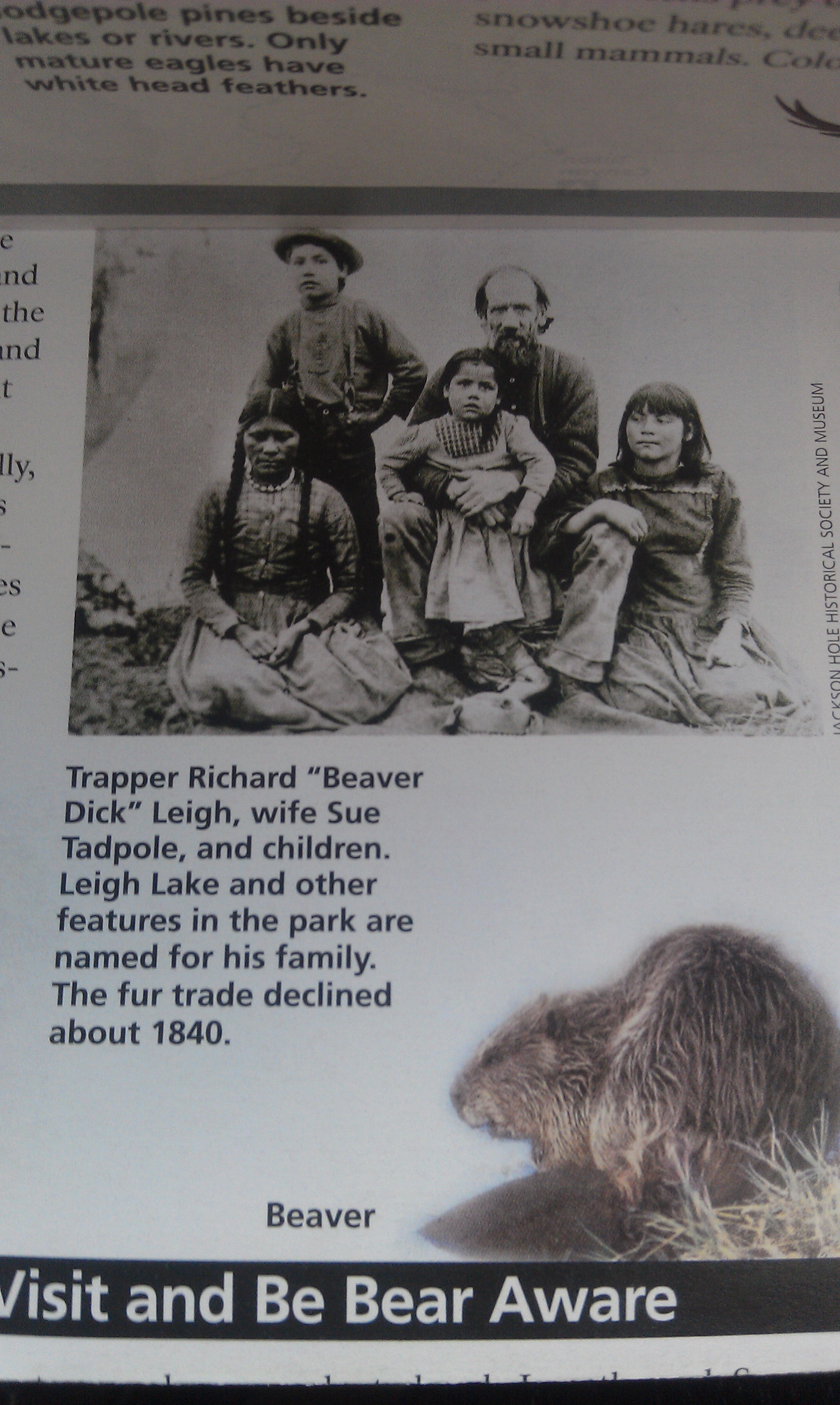 I saw this on our map of Yellowstone