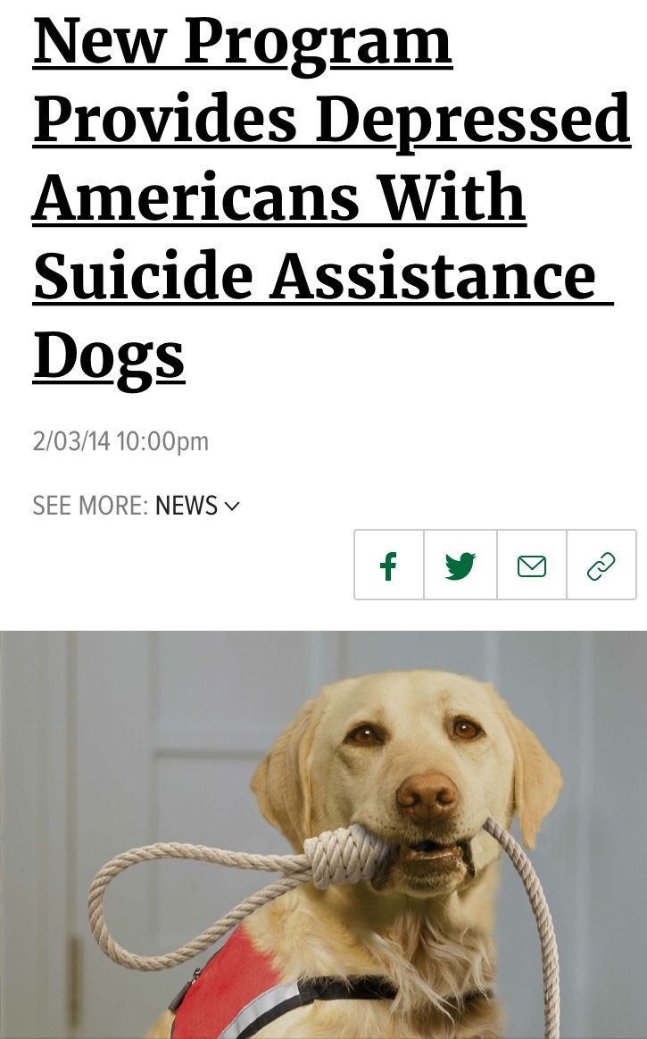 Finally a dog for the average Hugeloler