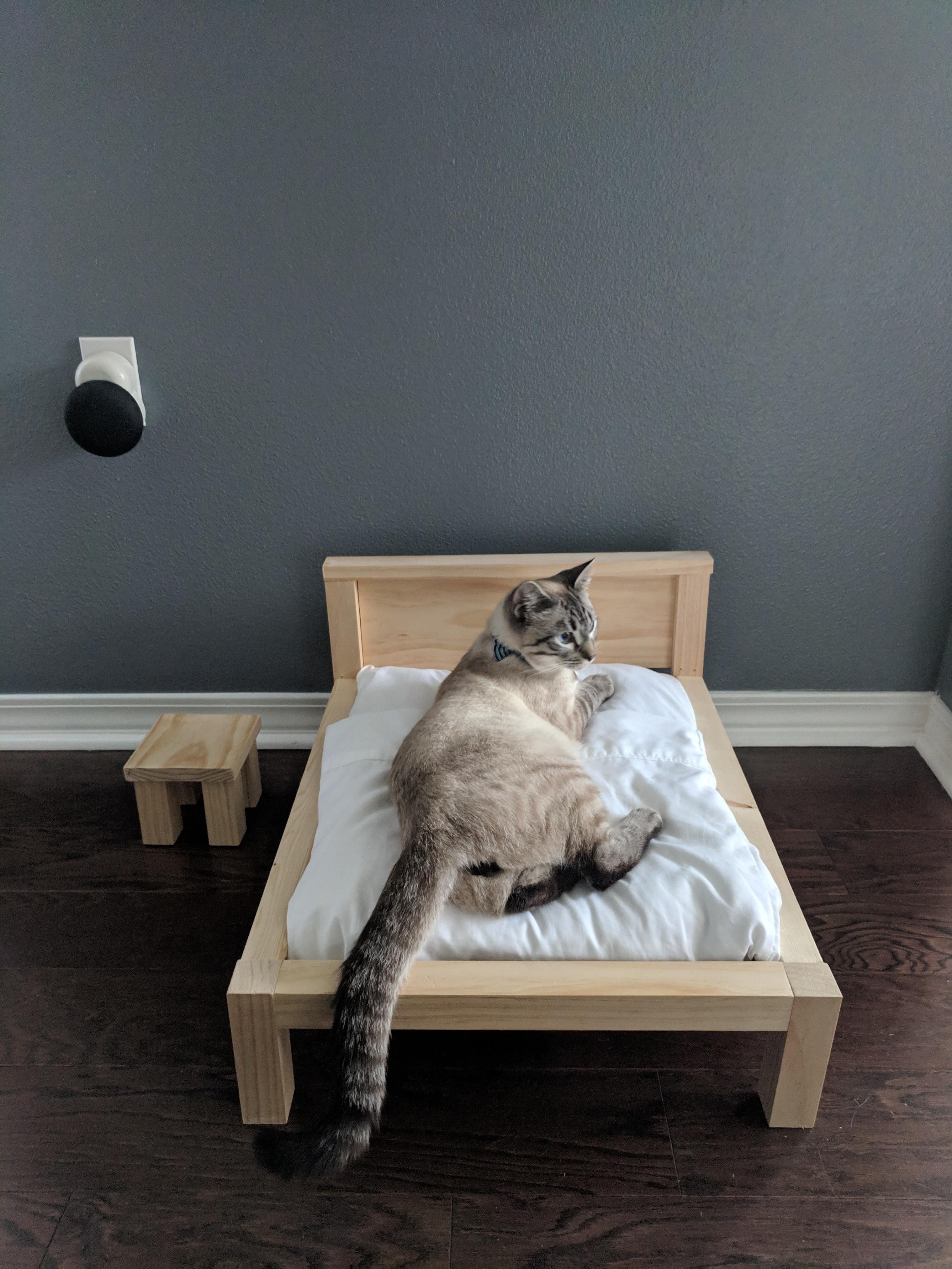 Husband said he was going to make a bed frame. I thought it was for our new mattress.... It was for the cat.