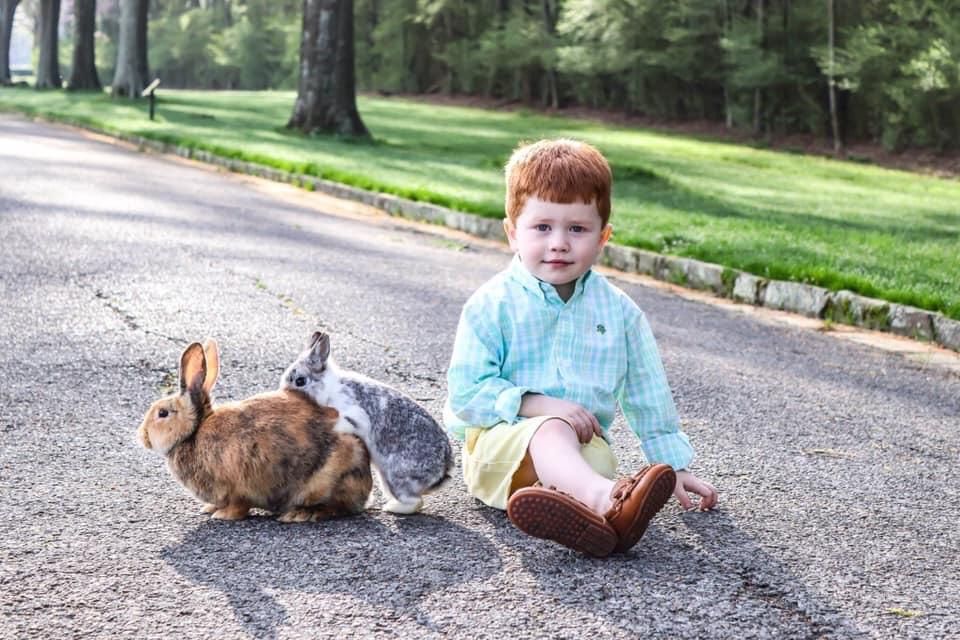 My cousin’s Easter photos gave us this true masterpiece.