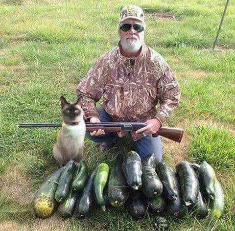 Vegan hunting