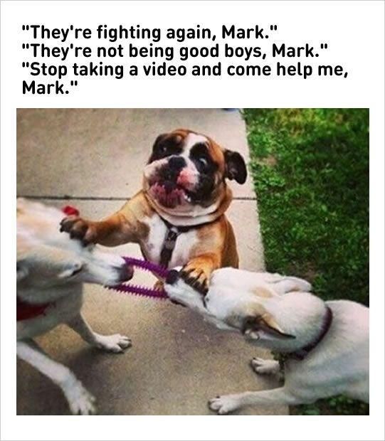 How dare you mark