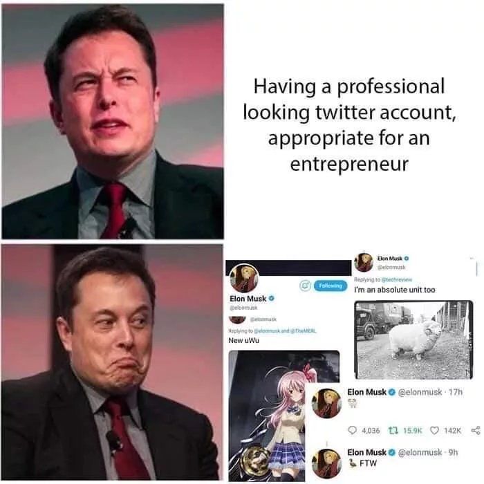 Elon Must