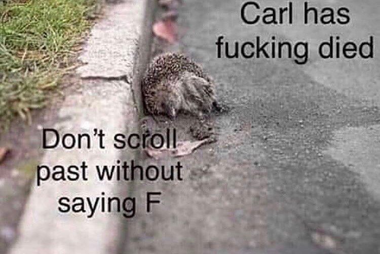Bye carl