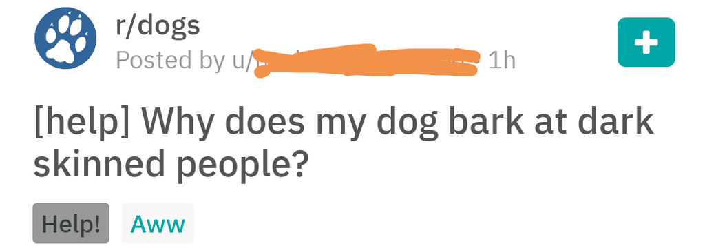 dog is gamer